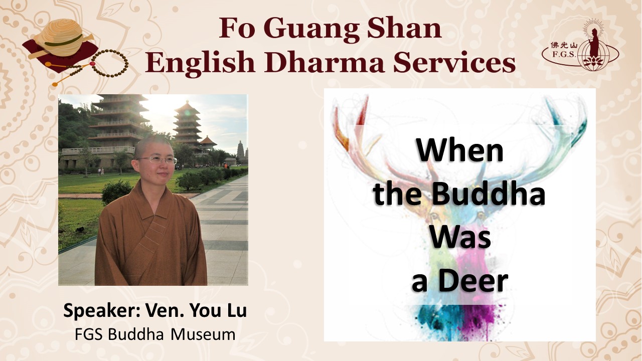 What the Buddha Did (3)—When He Was a Deer